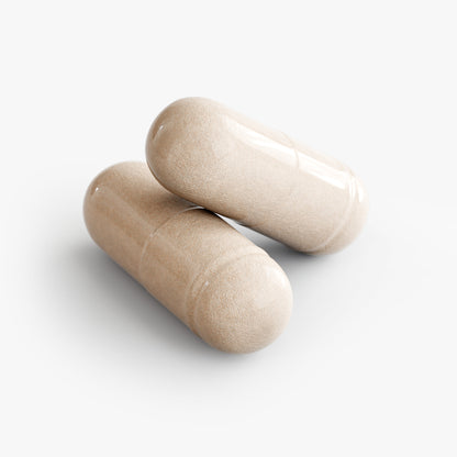 Bulkd Brain & Focus Formula (60 Capsules)