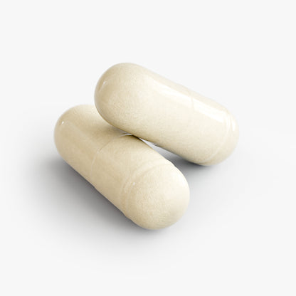 Bulkd Probiotic 20 Billion (30 Capsules)
